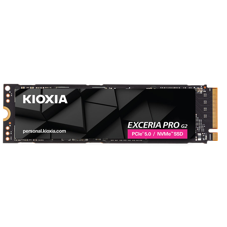 KIOXIA - LVE10Z2T04G8 - ������ ������ ����