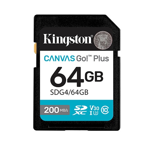 Kingston - SDG4-64GB - ������ ������ ����