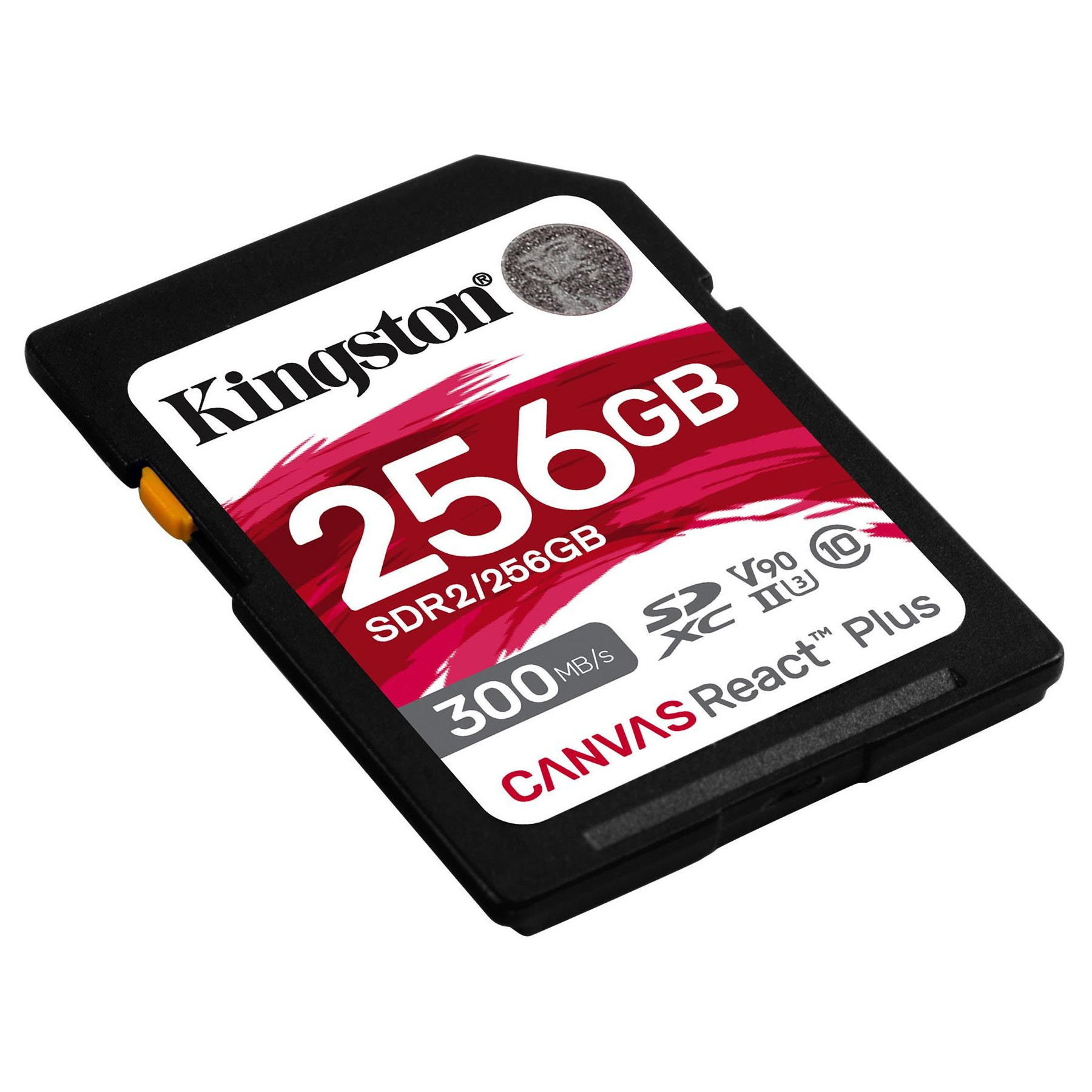Kingston - SDR2-256GB - התמונה להמחשה בלבד